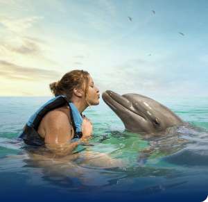 Woman kissing and swimming with dolphin in Cayman in the water