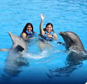 Women swimming with Dolphins in Playa del Carmen
