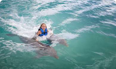 Dolphin Royal Swim 