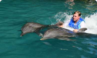 Romantic Dolphin Encounter 