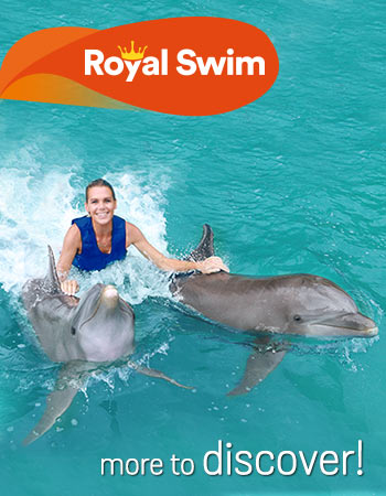 Dolphin Royal Swim Program