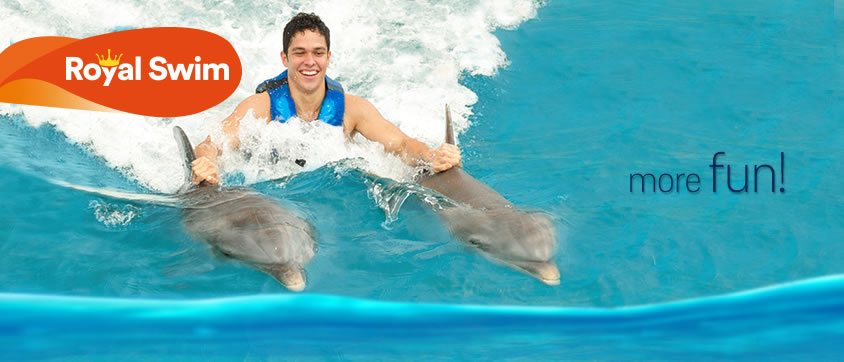 Dive with Dolphins Program