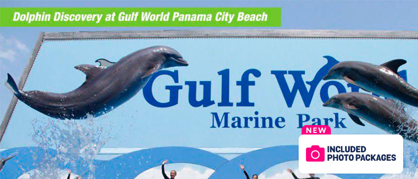 Gulf World By Dolphin Discovery