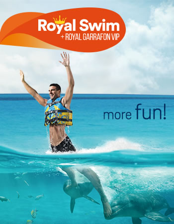 Dolphin Royal Swim + Royal Garrafon VIP Program