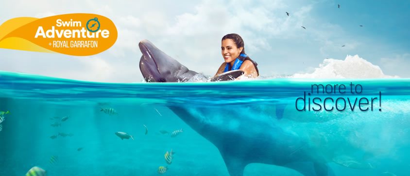 Dolphin Swim Adventure + Royal Garrafon Program