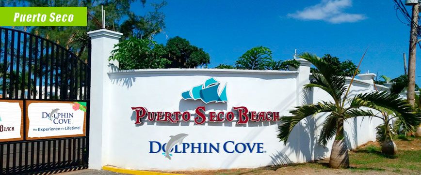 Dolphin Discovery Puerto Seco Beach