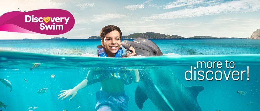 Dolphin Discovery Swim Program