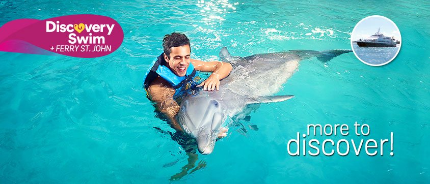 Dolphin Swim + Ferry Program