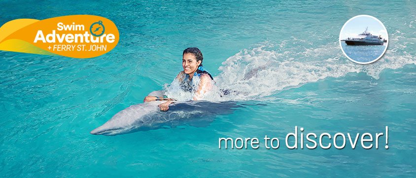 Dolphin Swim Adventure + Ferry Program