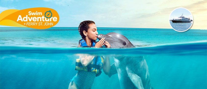 Dolphin Swim Adventure + Ferry Program