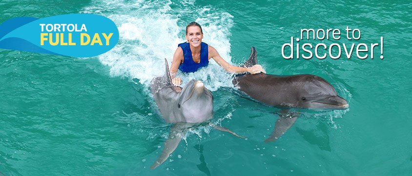Dolphin Full Day Program